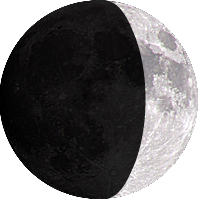 月齢:4日