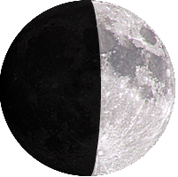 月齢:6日