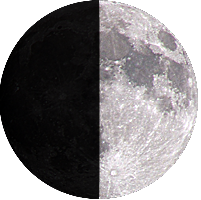 月齢:7日