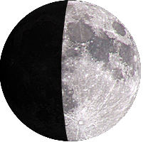 月齢:8日